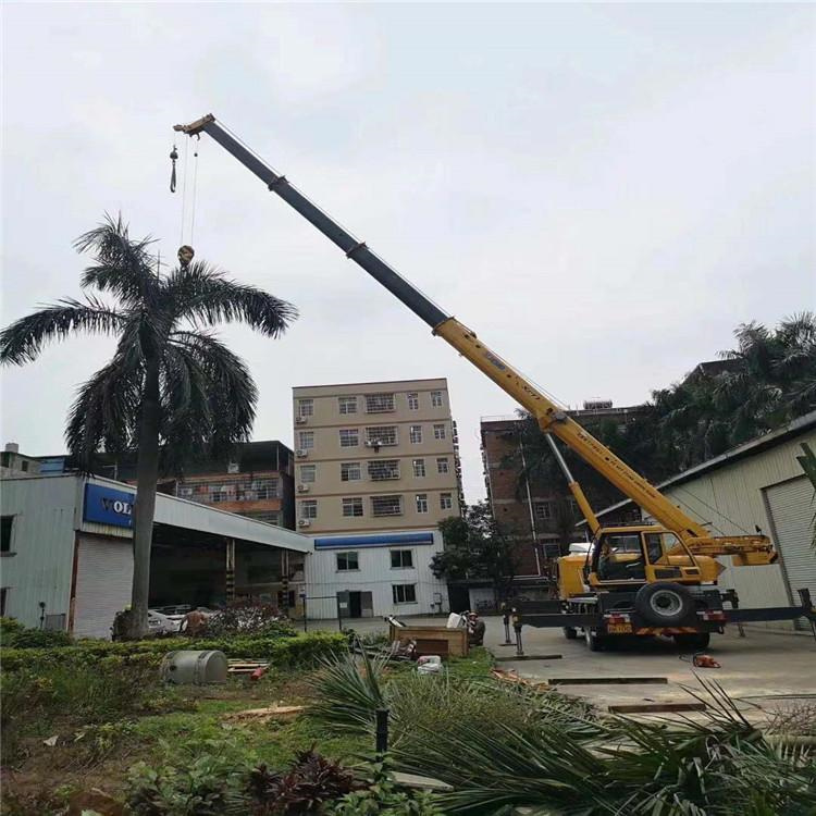 三角镇树木移栽装卸